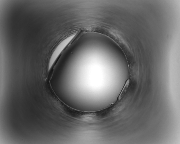X0000088370505200706051044