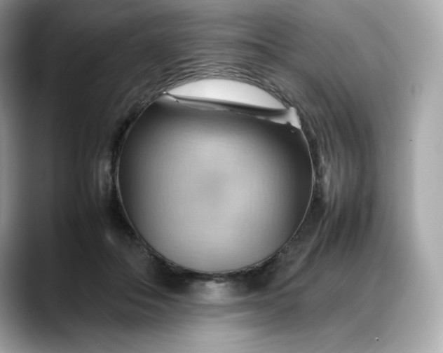 X0000088370506200706051044
