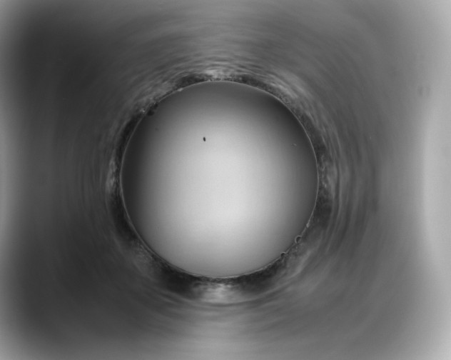 X0000088370507200706051044