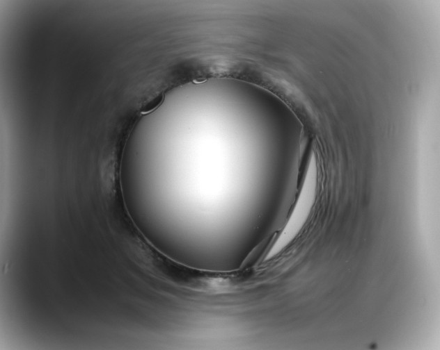 X0000088370509200706051044