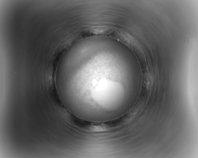 X0000088370510200706051044