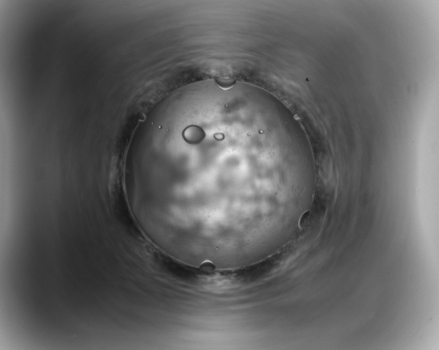 X0000088370511200706051044