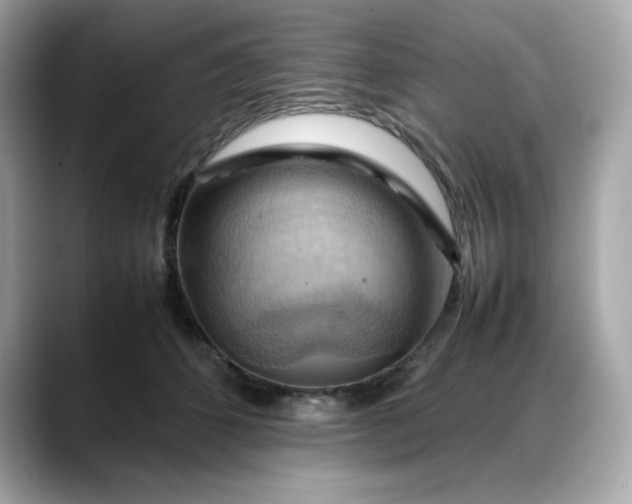 X0000088370512200706051044