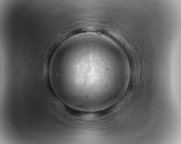 X0000088370513200706051044