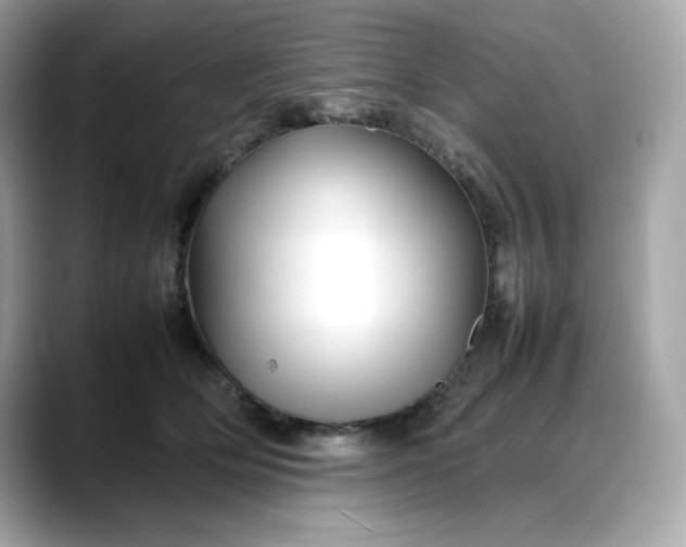 X0000088370514200706051044