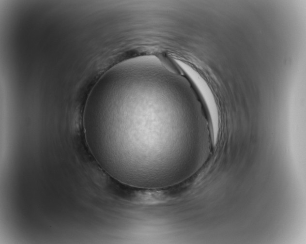 X0000088370517200706051044