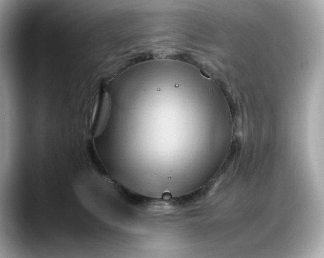 X0000088370519200706051044