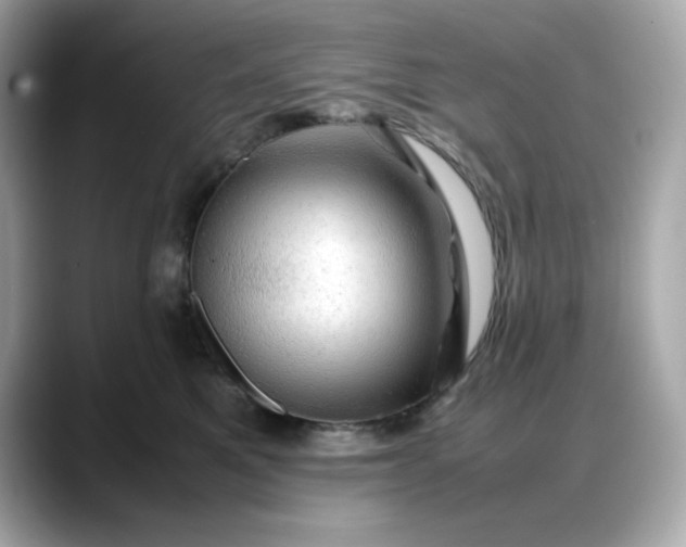 X0000088370521200706051043