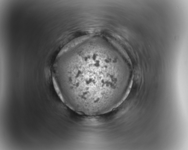X0000088370523200706051043
