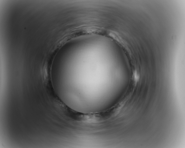X0000088370524200706051043
