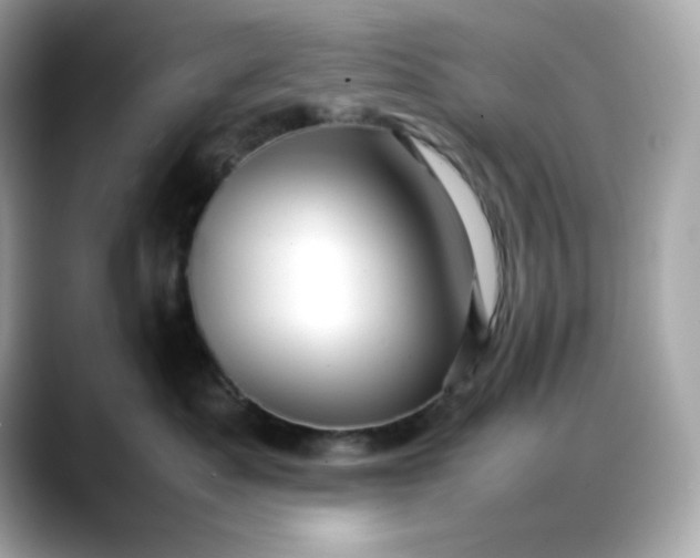 X0000088370525200706051043