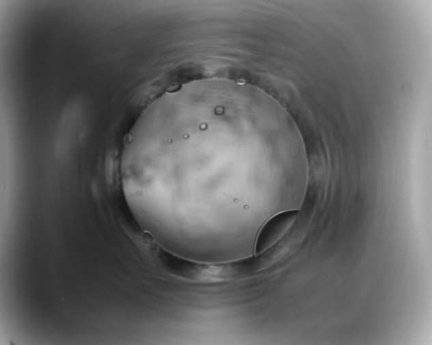 X0000088370527200706051043