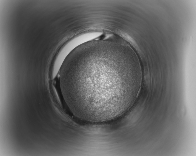 X0000088370530200706051043