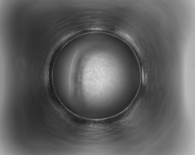 X0000088370531200706051043