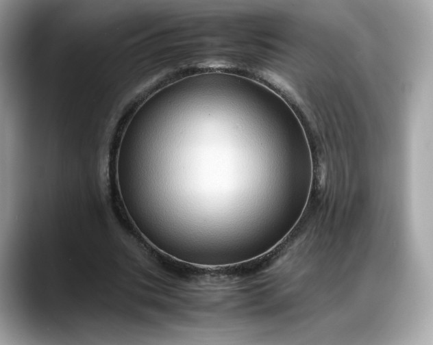 X0000088370535200706051043