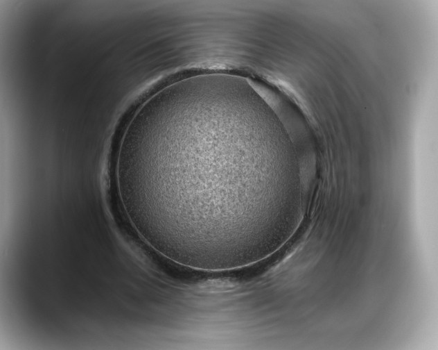 X0000088370536200706051043