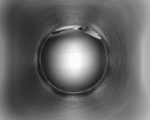 X0000088370538200706051043