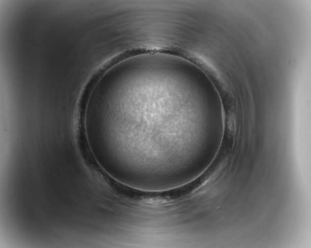 X0000088370540200706051043