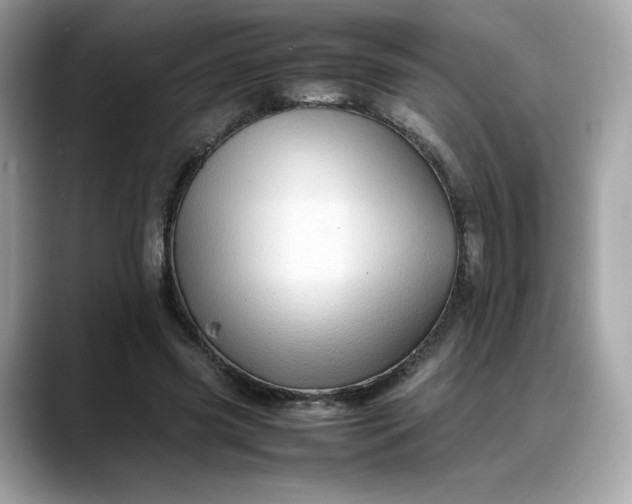 X0000088370541200706051043