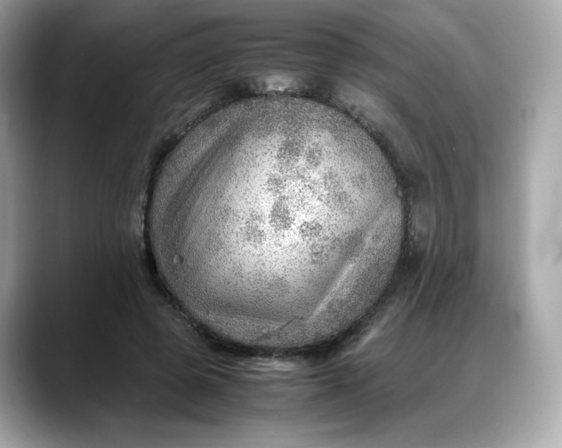 X0000088370545200706051043