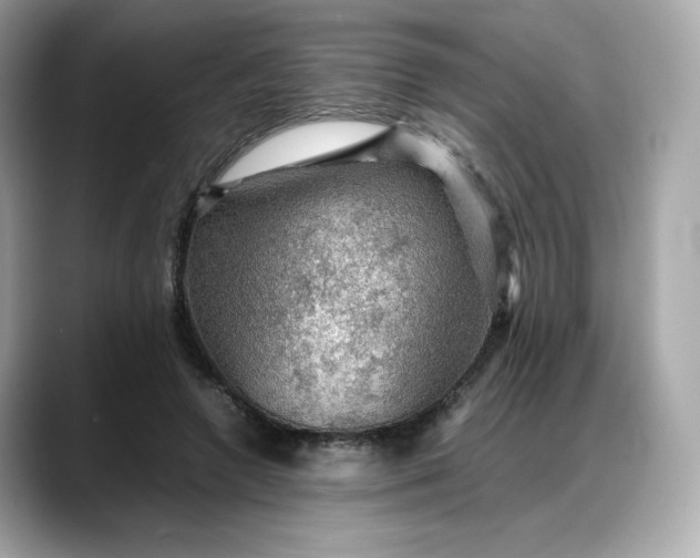 X0000088370546200706051043