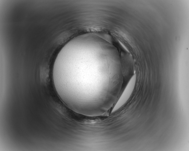 X0000088370548200706051043