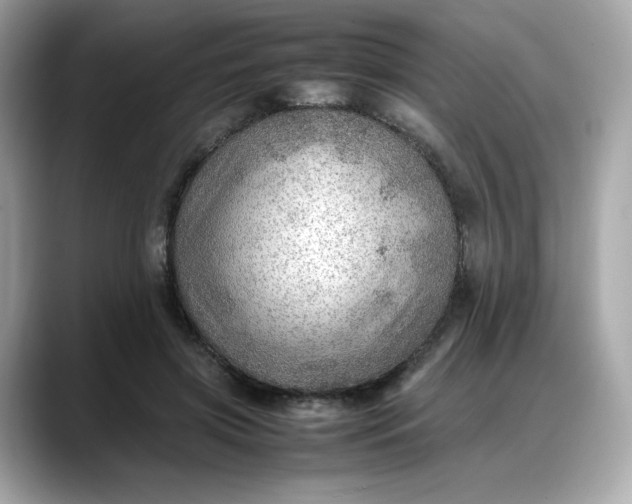 X0000088370549200706051043
