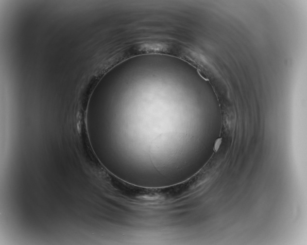 X0000088370551200706051043