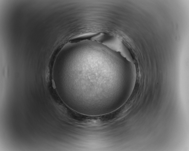 X0000088370552200706051043