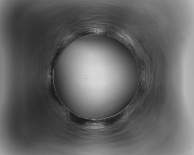 X0000088370553200706051043