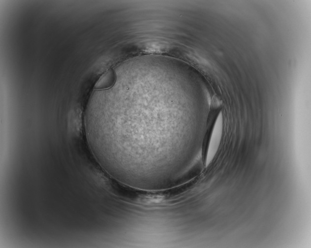 X0000088370554200706051043