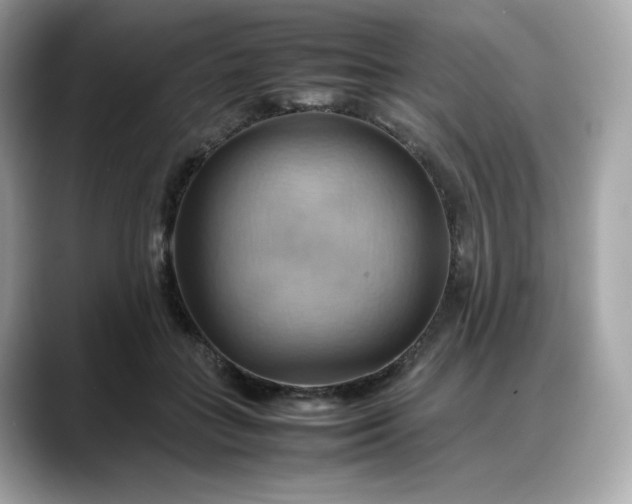 X0000088370555200706051043