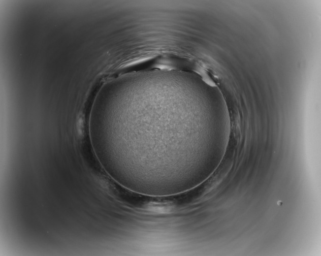 X0000088370556200706051043