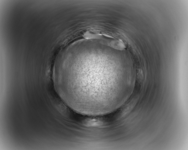 X0000088370557200706051043