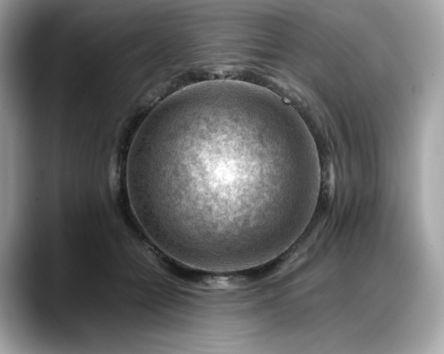 X0000088370558200706051043