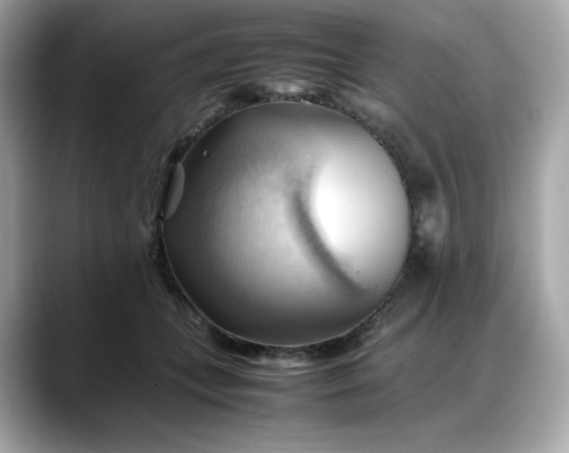 X0000088370559200706051043