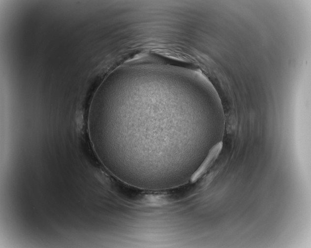 X0000088370560200706051043