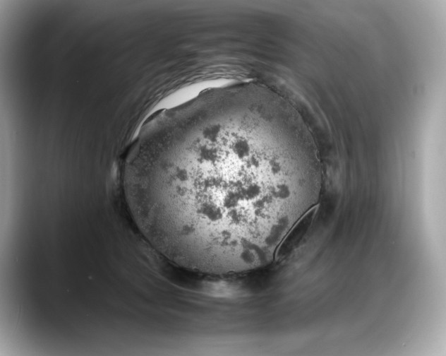 X0000088370561200706051043