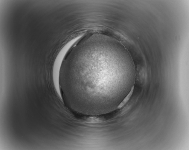 X0000088370562200706051043