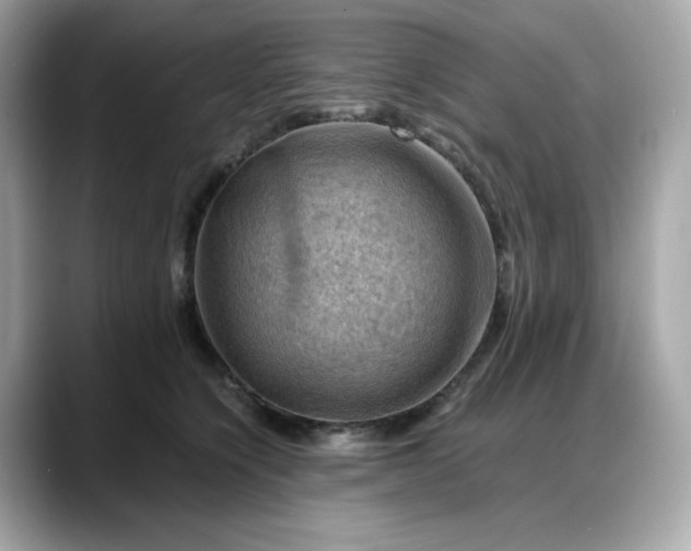 X0000088370564200706051043