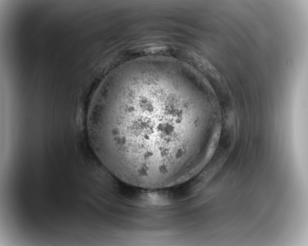 X0000088370565200706051043