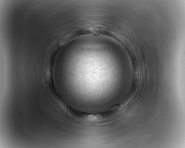 X0000088370566200706051043