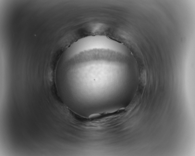 X0000088370571200706051043