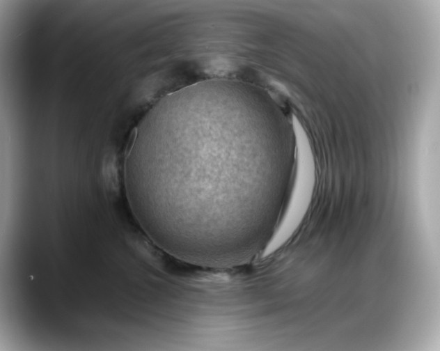 X0000088370572200706051043