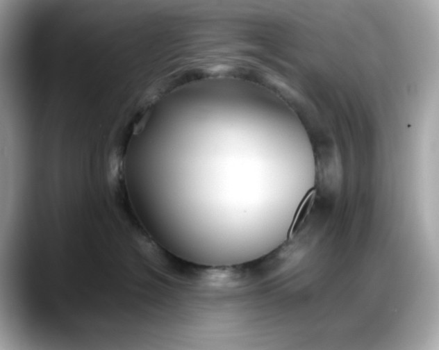 X0000088370574200706051043