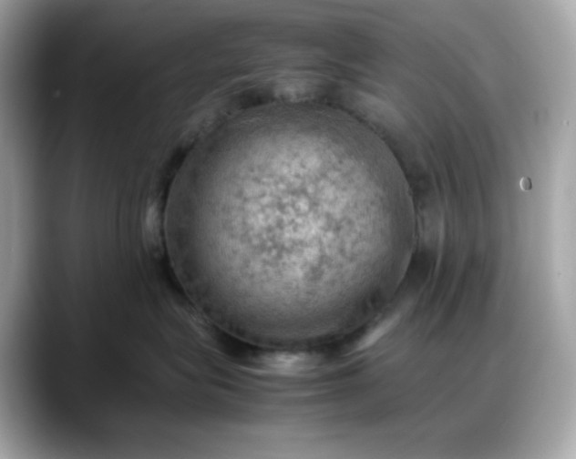 X0000088370575200706051043
