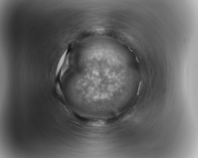 X0000088370576200706051043