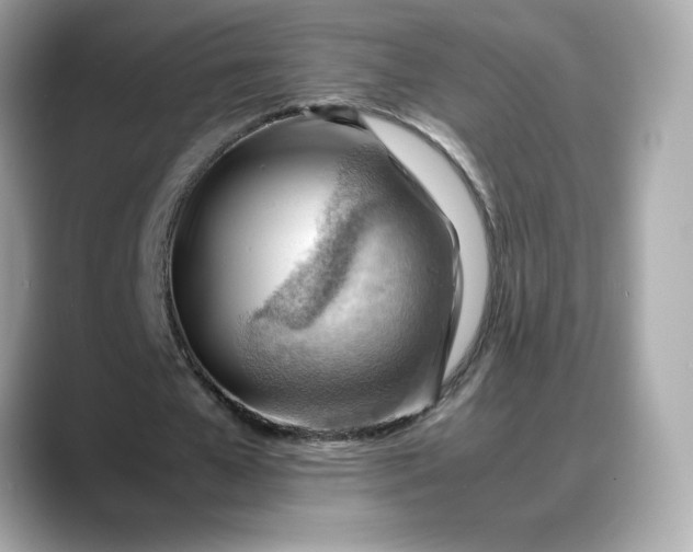 X0000088370577200706051043