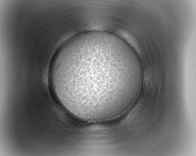 X0000088370578200706051043