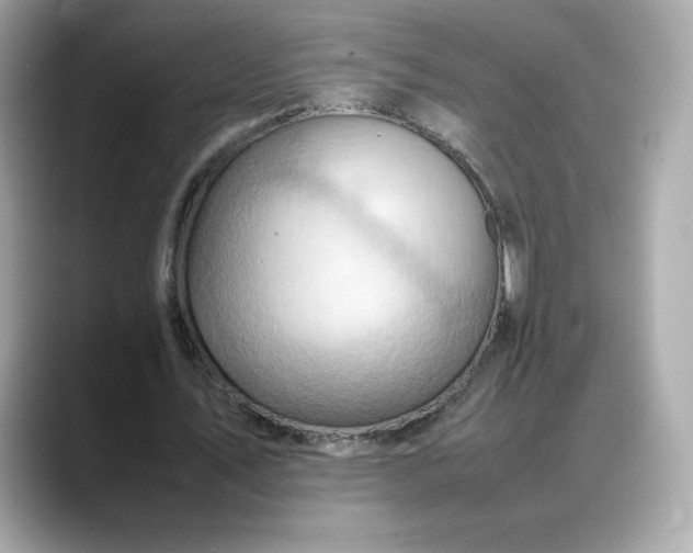 X0000088370579200706051043